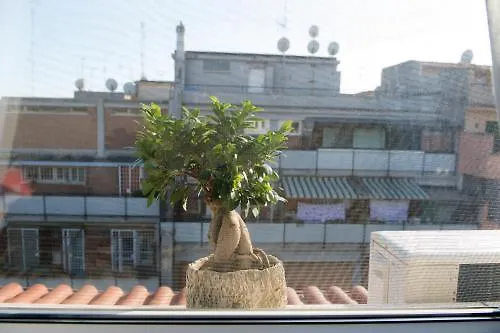 Letto E Latte Roma Guest House